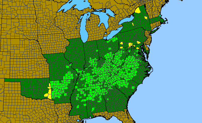 The range of Iris cristata